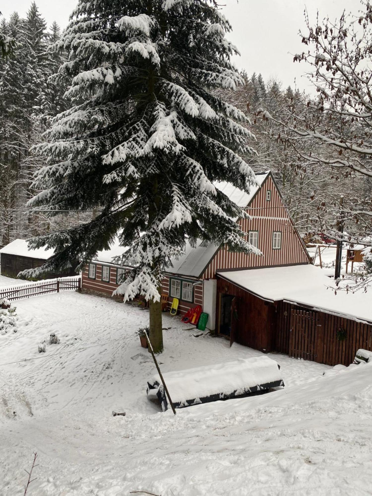 Chalupa Šárka Dolní Dvůr Exteriér fotografie